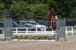7-17-25 FCHC-0094.jpg