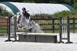 7-19-25 Hollow-0126.jpg