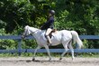 7-23-25 Gardner-0312.jpg