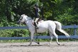 7-23-25 Gardner-0315.jpg