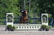 7-23-25 Gardner-0723.jpg
