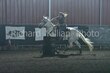 7-25-25 Whisper-0647.jpg