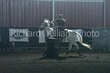 7-25-25 Whisper-0648.jpg