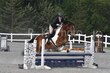 7-26-25MiraBella-0774.jpg