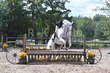 8-2-25 BrookEdge-0213.jpg