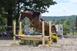 8-2-25 BrookEdge-0214.jpg