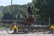 8-2-25 BrookEdge-0429.jpg