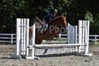 8-9-25 TwinLakes-0036.jpg