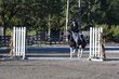 9-20-25 WHVPHA-0314.jpg