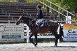 9-20-25 WHVPHA-1532.jpg