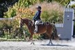 9-20-25 WHVPHA-1535.jpg