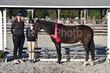 9-20-25 WHVPHA-2630.jpg