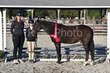9-20-25 WHVPHA-2631.jpg