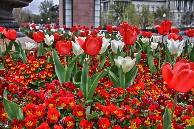 IMG_6814_HDR1.jpg