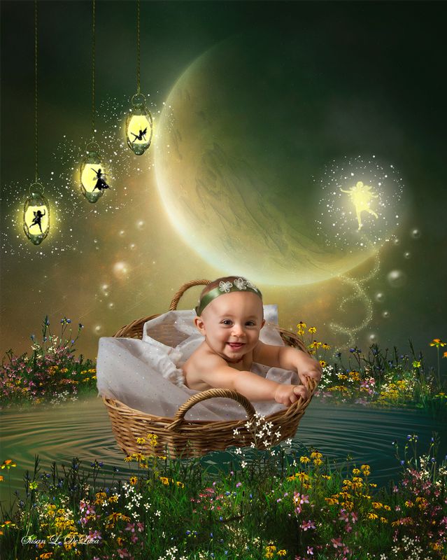 Emma in Basket 0449_1600x1600.jpg