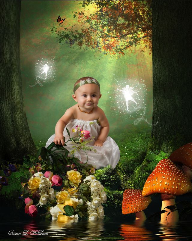 Emma in Woods_1600x16002.jpg :: A pond and two big trees in the forest in a beautiful day with rays of lights between the leaves