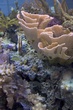 _MG_2546.jpg