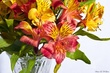 _MG_5702_edited.jpg