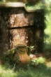 IMG_0057_1000x1500_The_Jar.jpg