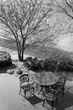 IMG_3365-11.jpg