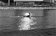 img020.jpg