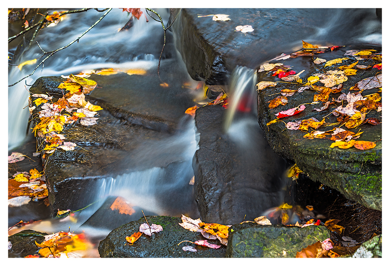 _Autumn-leaves-in-a-Waterfall.jpg