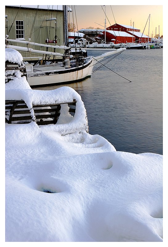 After-the-Winter-Storm.jpg