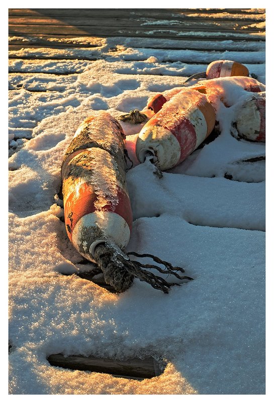 Buoys-in-late-afternoon-sun.jpg