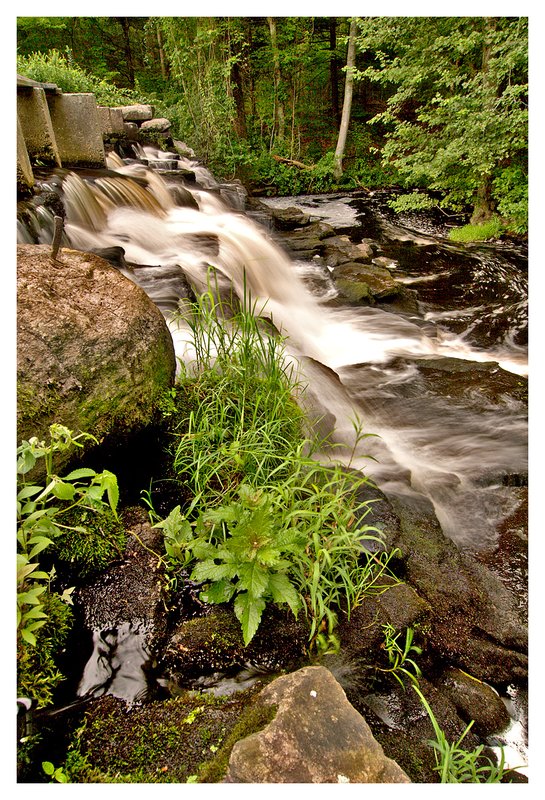 Clarks Falls-summer.jpg :: North Stonington - Lush pond vegetation at Clark's Falls.