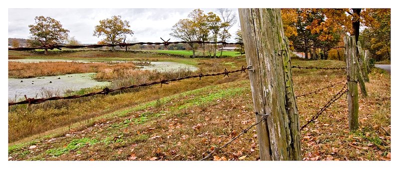 Grey-Autumn-Day-North-Stonington.jpg