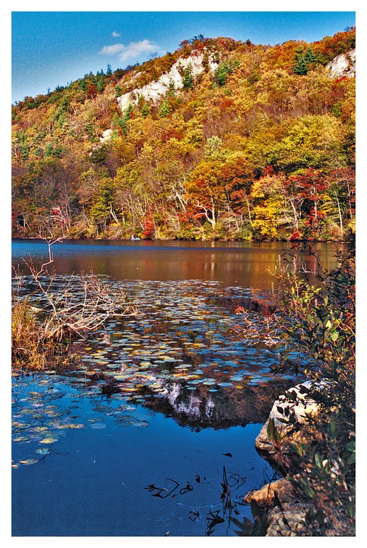 Lantern Hill reflection.jpg :: Ledyard Ct. Lantern Hill is reflected in the pond on a crisp,bright October day.