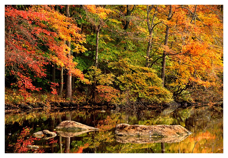 Masons Island pond.jpg :: Mystic Ct. The brilliant colors of fall are reflected in a quiet pond on Mason's Island 