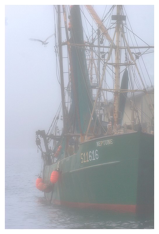 Neptune fogged in.jpg :: Stonington - Fog at Stonington's town dock.