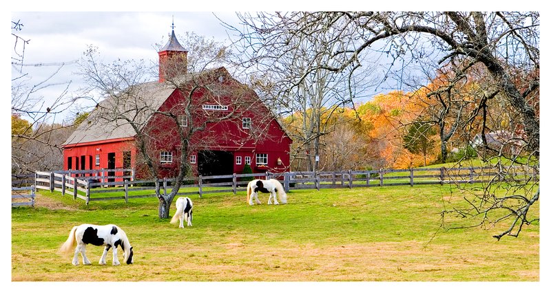 October-Gypsy-Stables.jpg