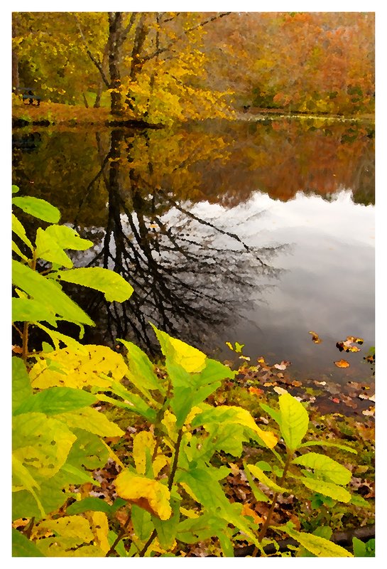 October-Morning-Pond.jpg