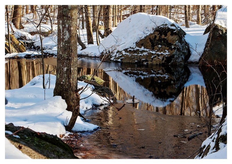 Small-Pond-in-the-Woods.jpg