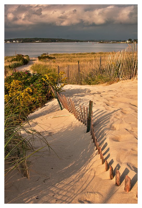 Snowfence-in-the-Sand.jpg