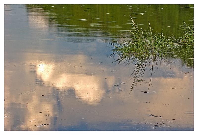 Summer-Pond-Reflection.jpg