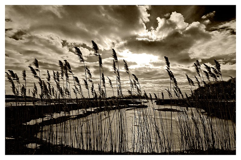 Winter-Sun-Barn-Island.jpg