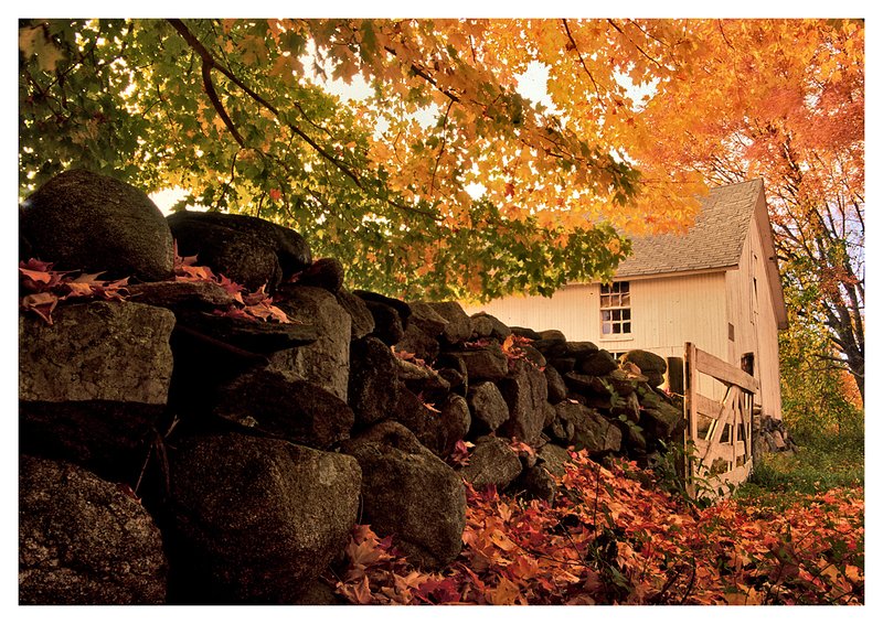 barn-Pequot Trail.jpg :: Stonington - An ancient stone wall and a run-down barn on a misty autumn day.