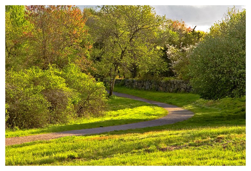 clearing spring storm.jpg :: Haley Farm - Mystic - Bright sunlight shines through the clearing storm clouds.