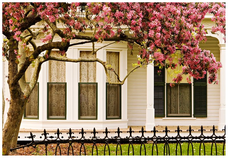 crabapple-and-porch.jpg :: Mystic .. A crabapple tree and a classic iron fence frame a 19th century home