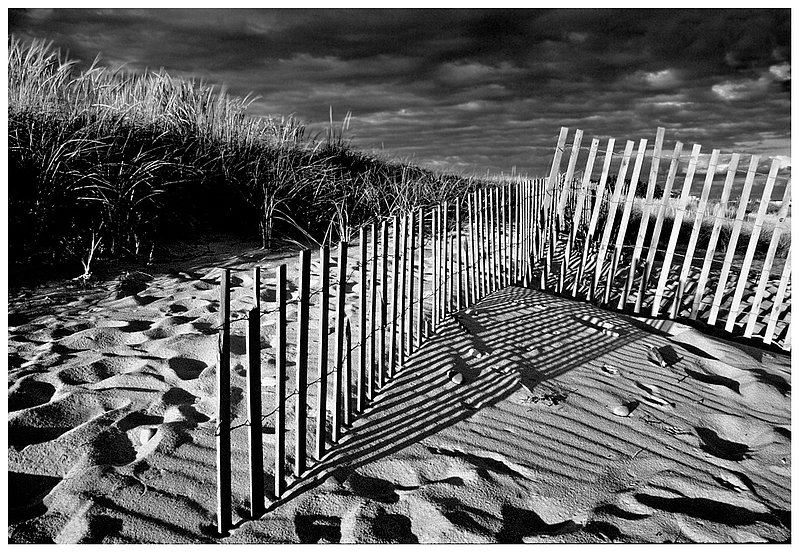 fence.-shadows.-W.jpg