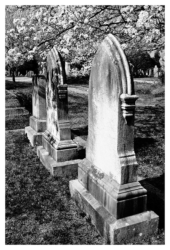 gravestones-spring.jpg