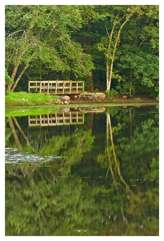 pond-in-Ledyard.jpg