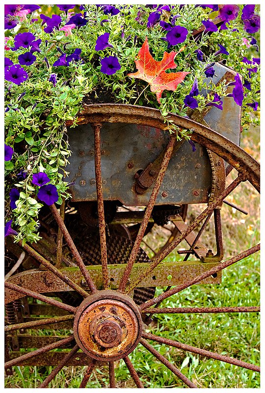 red-leaf-and-farm-equipment.jpg