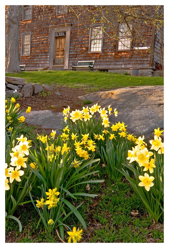 spring-Denison-Home.jpg :: Mystic - Spring at the Denison Homestead.