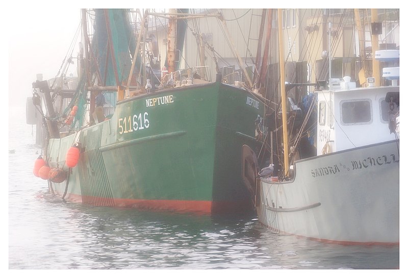 the Neptune.jpg :: Stonington - The Stonington based fishing boat Neptune fogged in at the town dock.