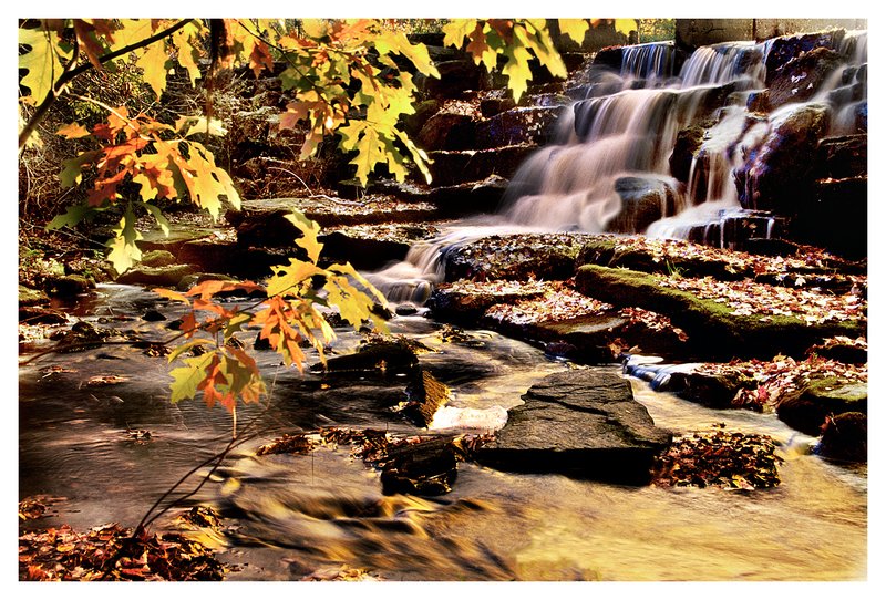 waterfall - Clarks Falls.jpg :: North Stonington - Back lit autumn leaves frame the waterfall at Clark's Falls.