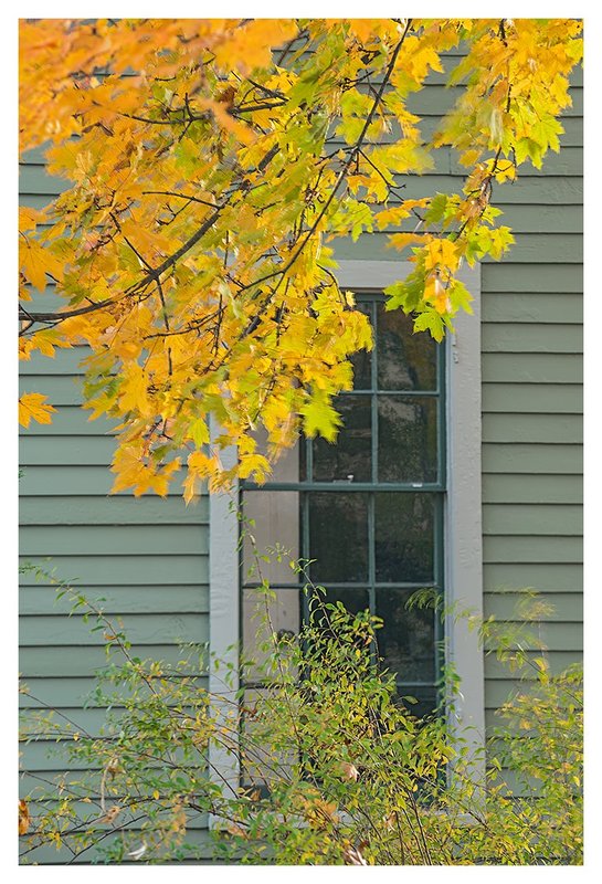 A-Window-in-Autumn.jpg